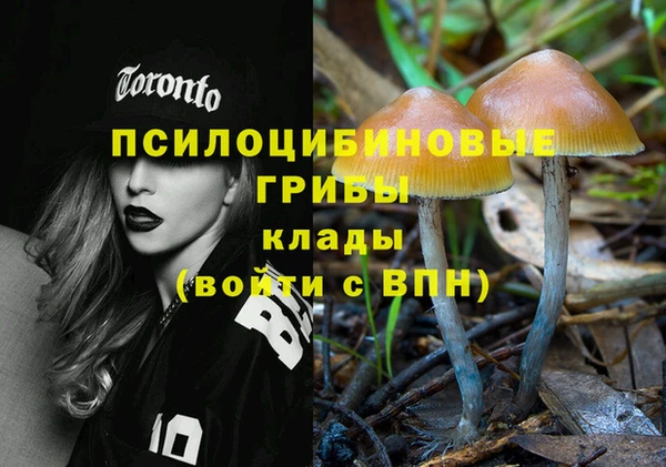 кокаин перу Богданович