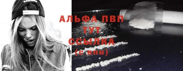 прущий лед Богородицк
