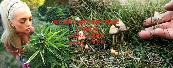 прущий лед Богородицк