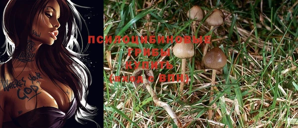 кокаин перу Богданович