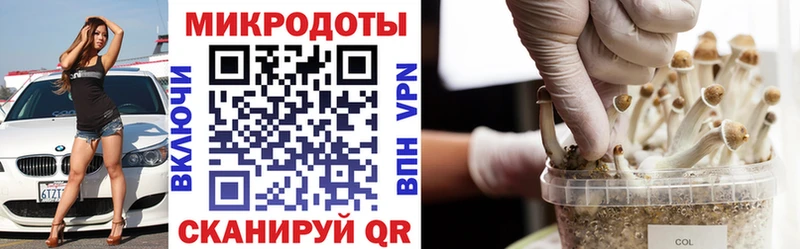 Галлюциногенные грибы мухоморы  blacksprut сайт  Нелидово 